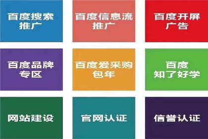 竞价代运营成功案例：快速占领市场